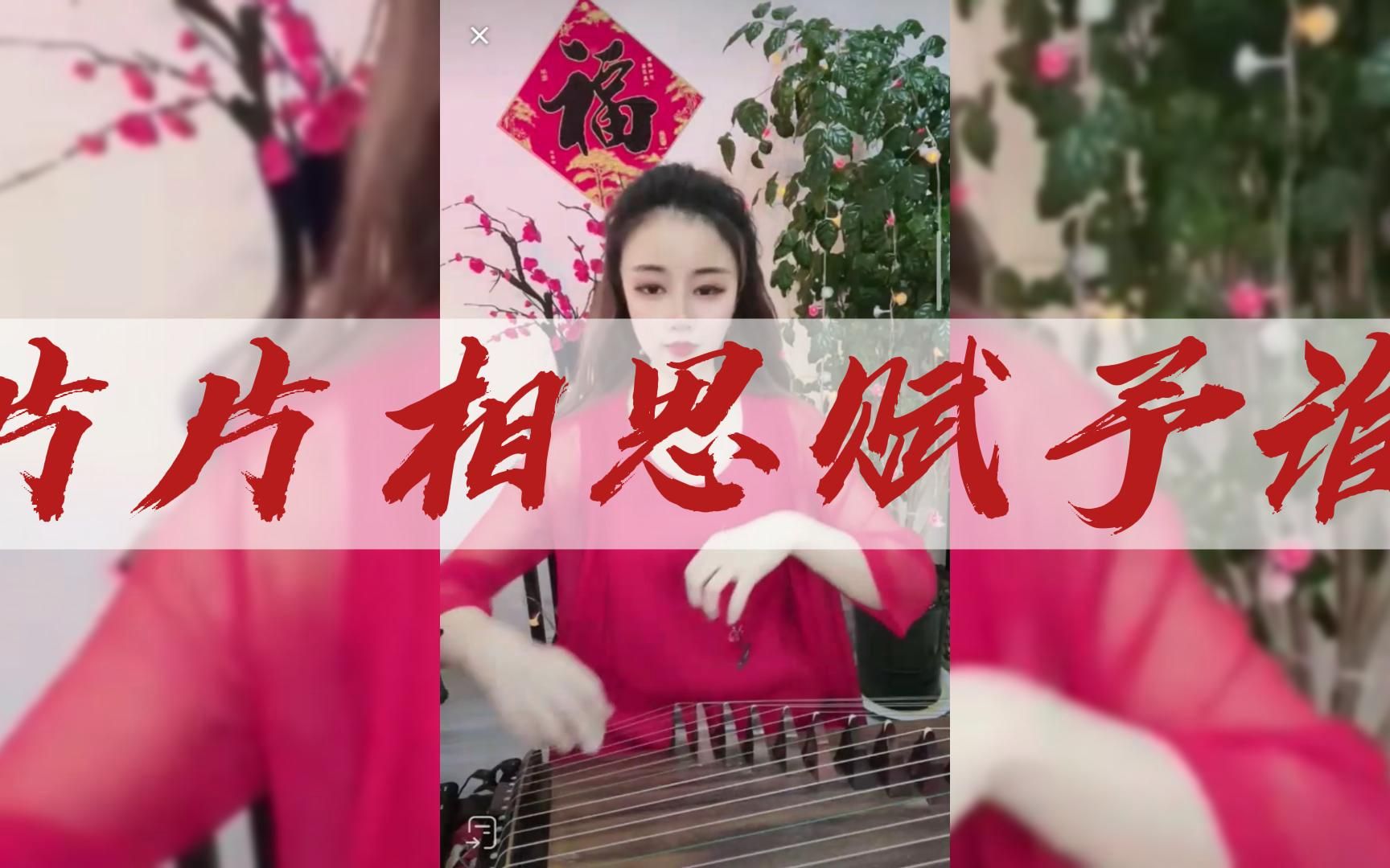 1古筝小仙女演奏片片相思赋予谁