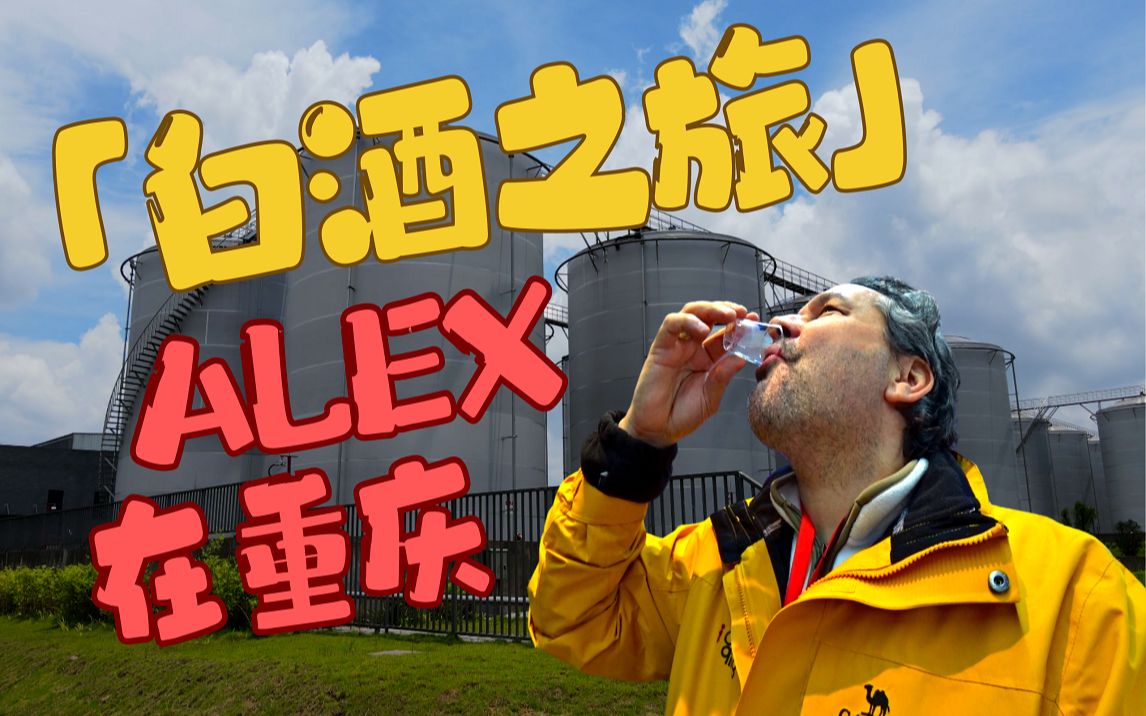 Alex在重庆:白酒之旅 | 亲眼看看中国白酒是怎么酝酿的哔哩哔哩bilibili