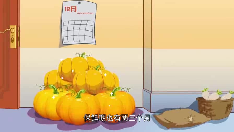 植物科普 第11集 科普南瓜哔哩哔哩bilibili