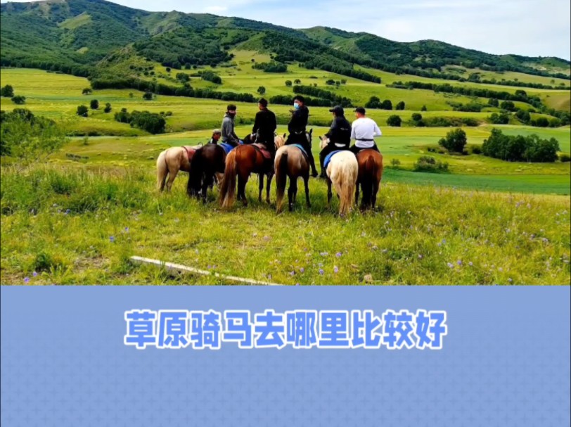 丰宁坝上草原去哪里骑马比较好?#丰宁坝上草原自驾游攻略 #丰宁坝上草原 #丰宁坝上远山别院哔哩哔哩bilibili