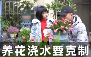 Download Video: 养花浇水要克制，土壤干透再浇水，频繁浇花必定死