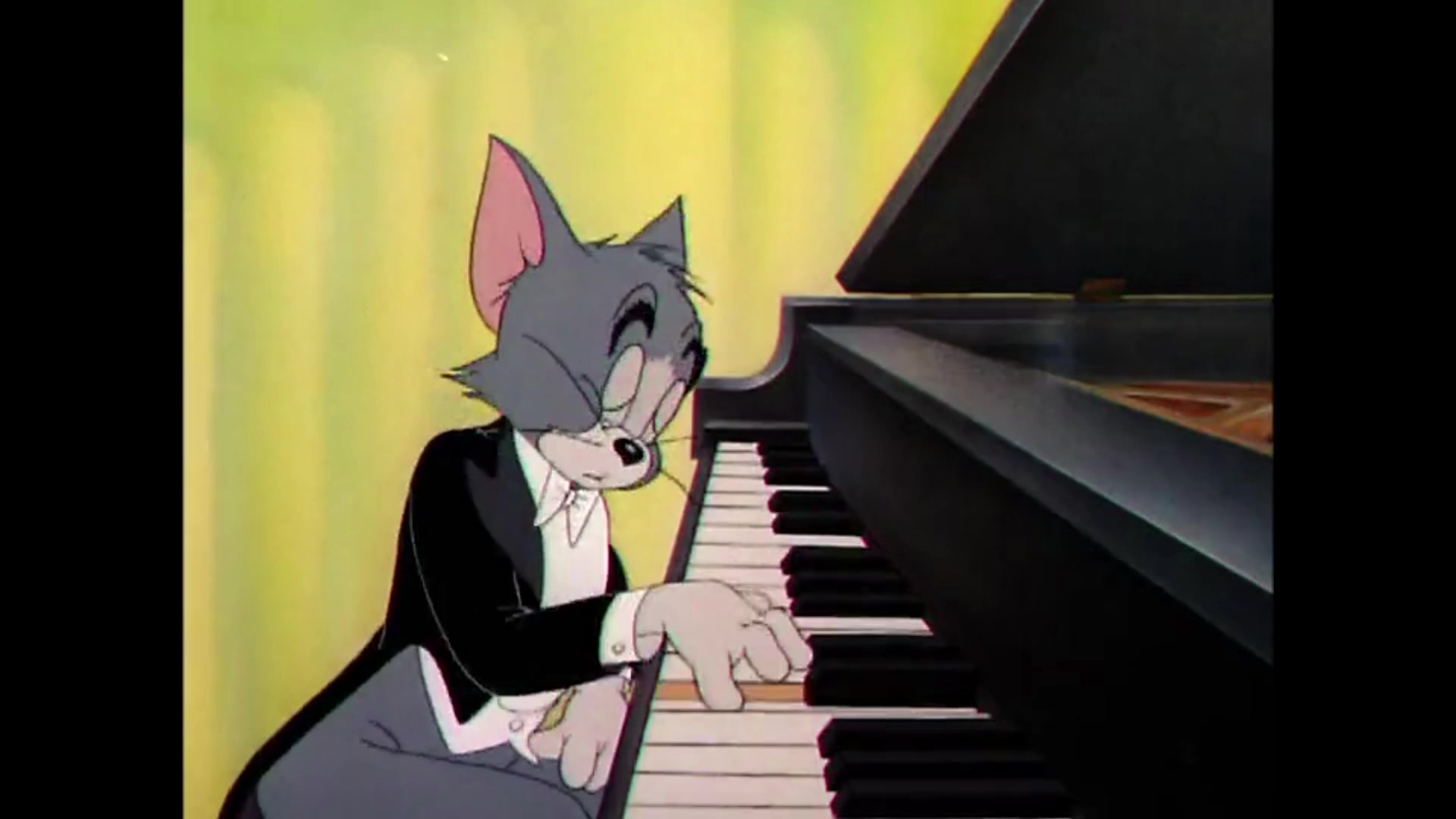 【tom猫&章鱼哥】出山