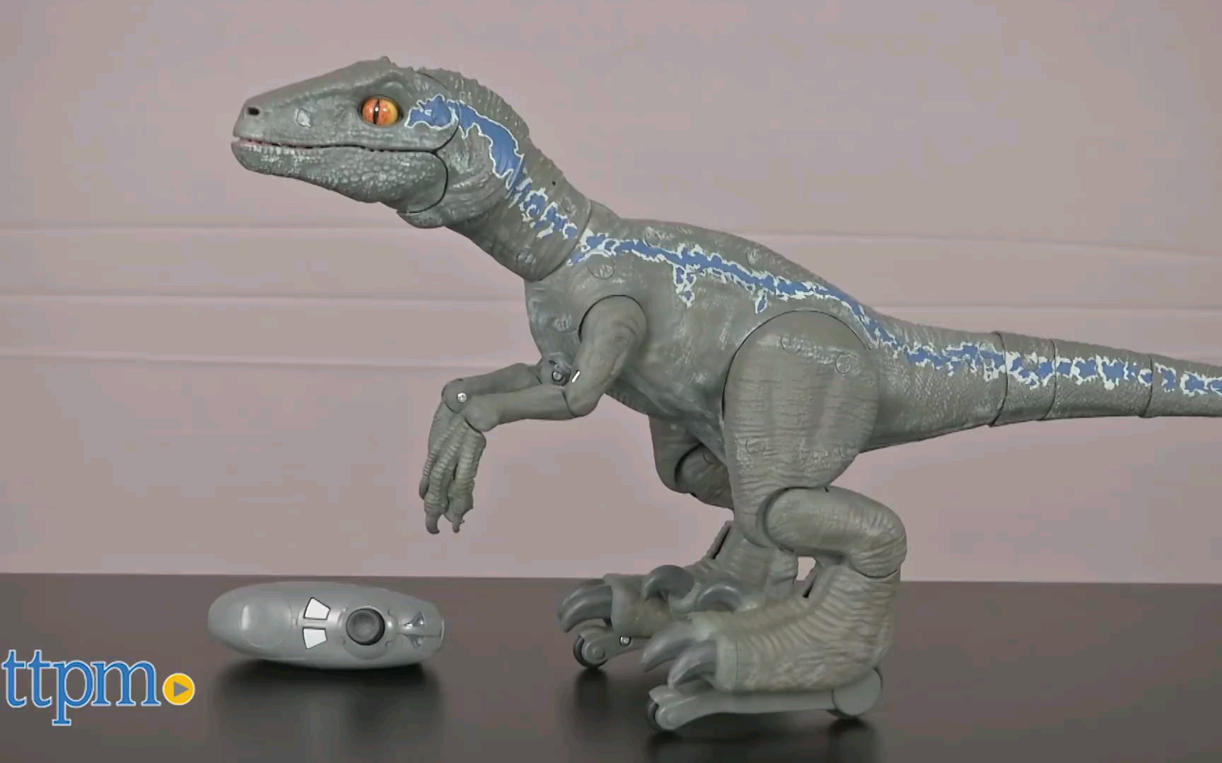 侏罗纪世界玩具美泰限定遥控迅猛龙布鲁