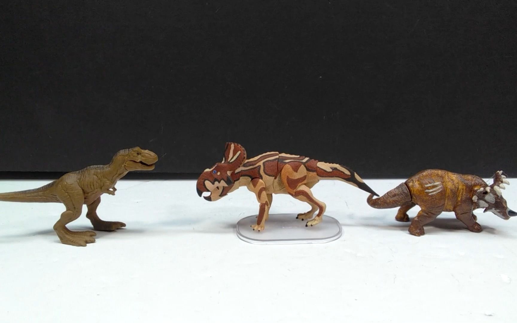 2022中生代野兽118头原角龙andrewsi回顾!