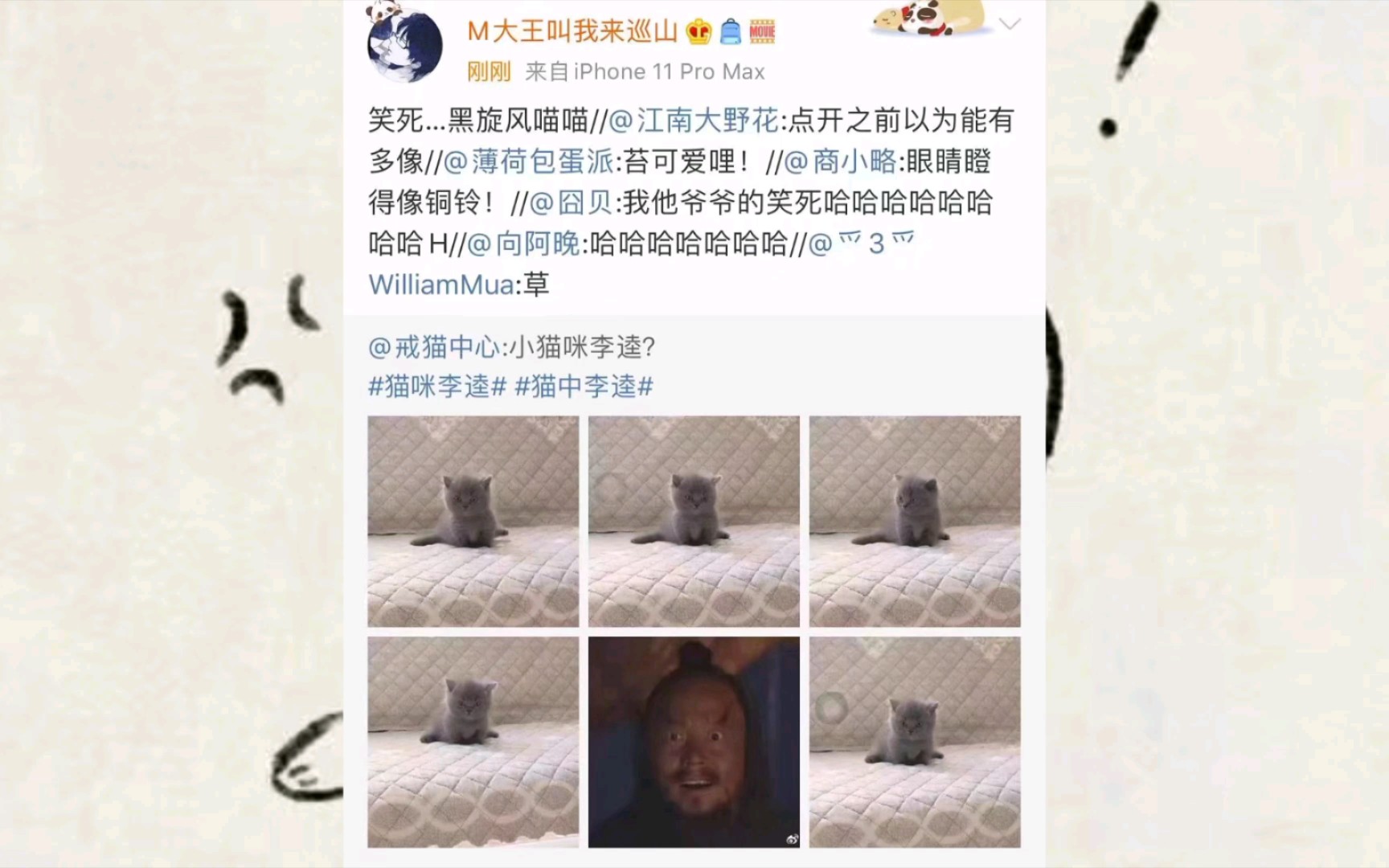 网络沙雕图(像李逵的猫)【25】哔哩哔哩bilibili