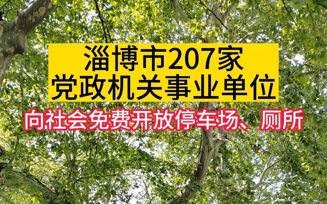 淄博市207家党政机关事业单位哔哩哔哩bilibili