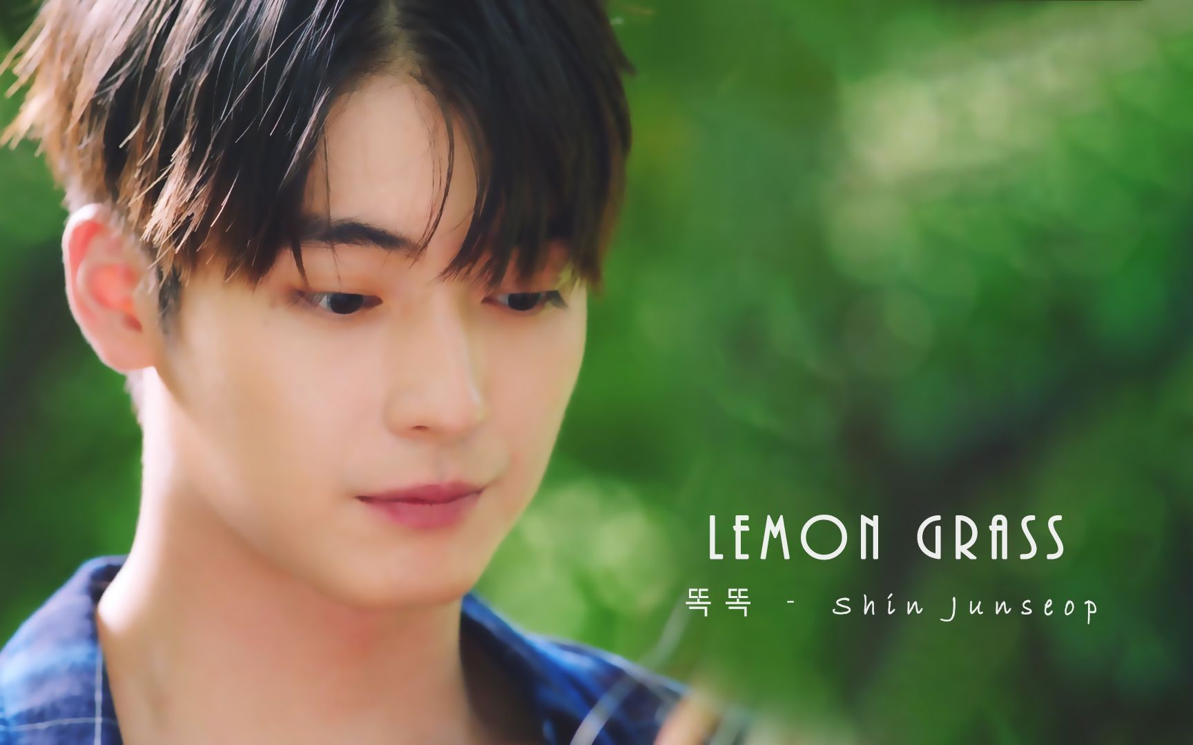 【7日罗曼史】申准燮 - 用 臉 殺 人