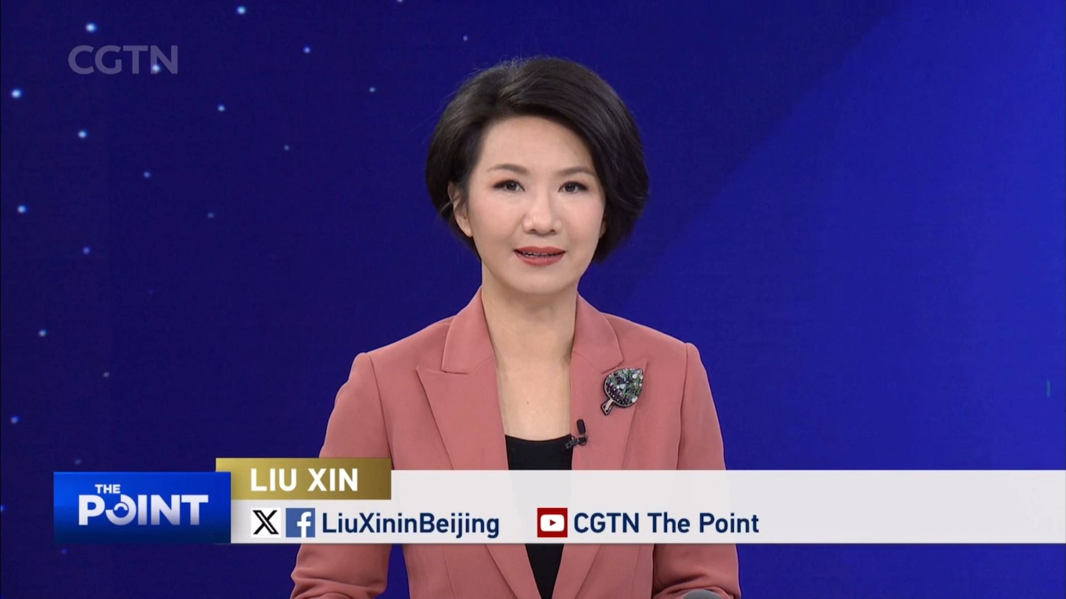 cgtn刘欣主持节目the point《视点》20241206期