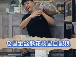 配一款鼠鼠爱吃还长肉肉的通用粮！建#仓鼠自配粮  #金丝熊配粮 #花枝鼠配粮 #养鼠日常分享 #宠物店店主 老袁 贵阳爬宠异宠萌宠异族小宠