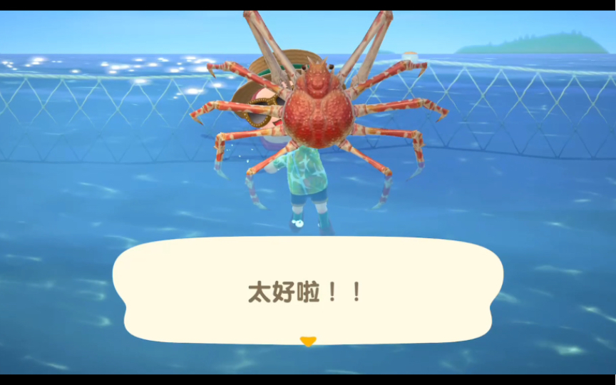 【动森】终于捉到心心念念的高脚蟹啦!