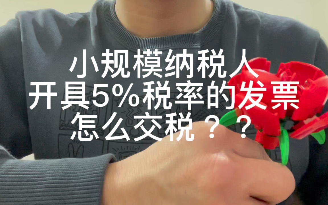 小规模纳税人,开具5%税率的发票怎么交税???哔哩哔哩bilibili