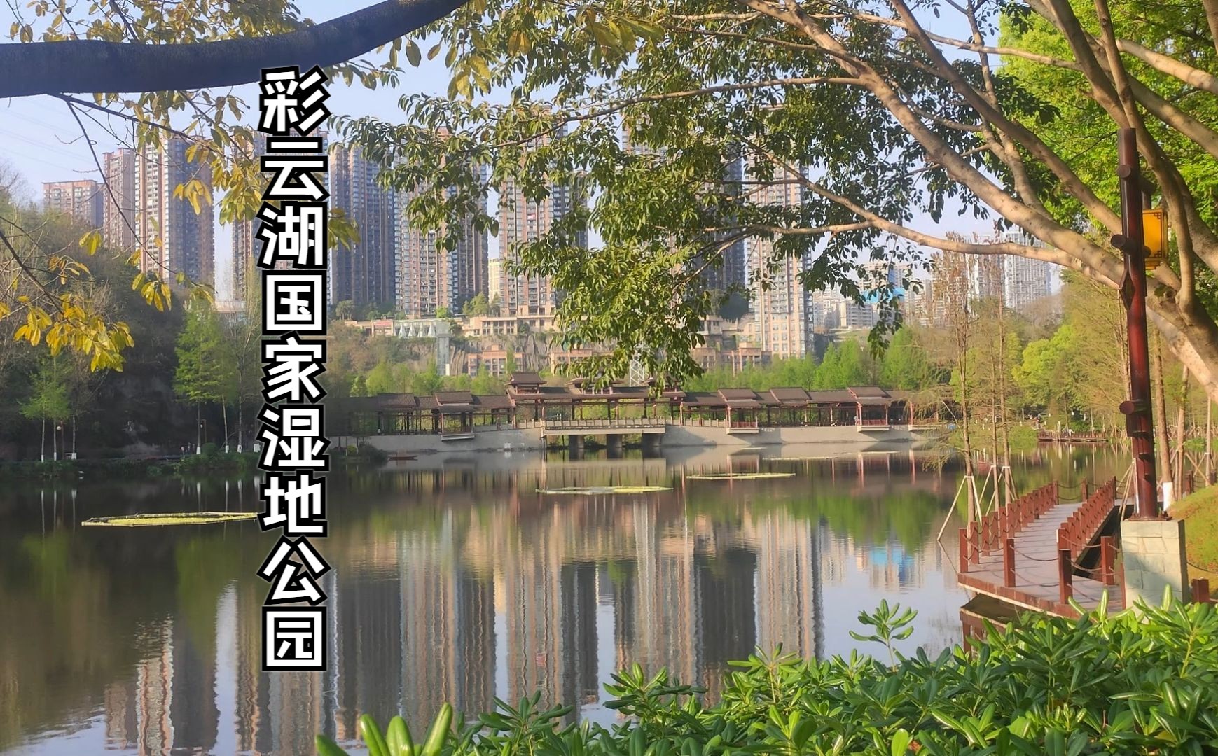 重庆彩云湖国家湿地公园游记 i 让自己心里得到彻底放松