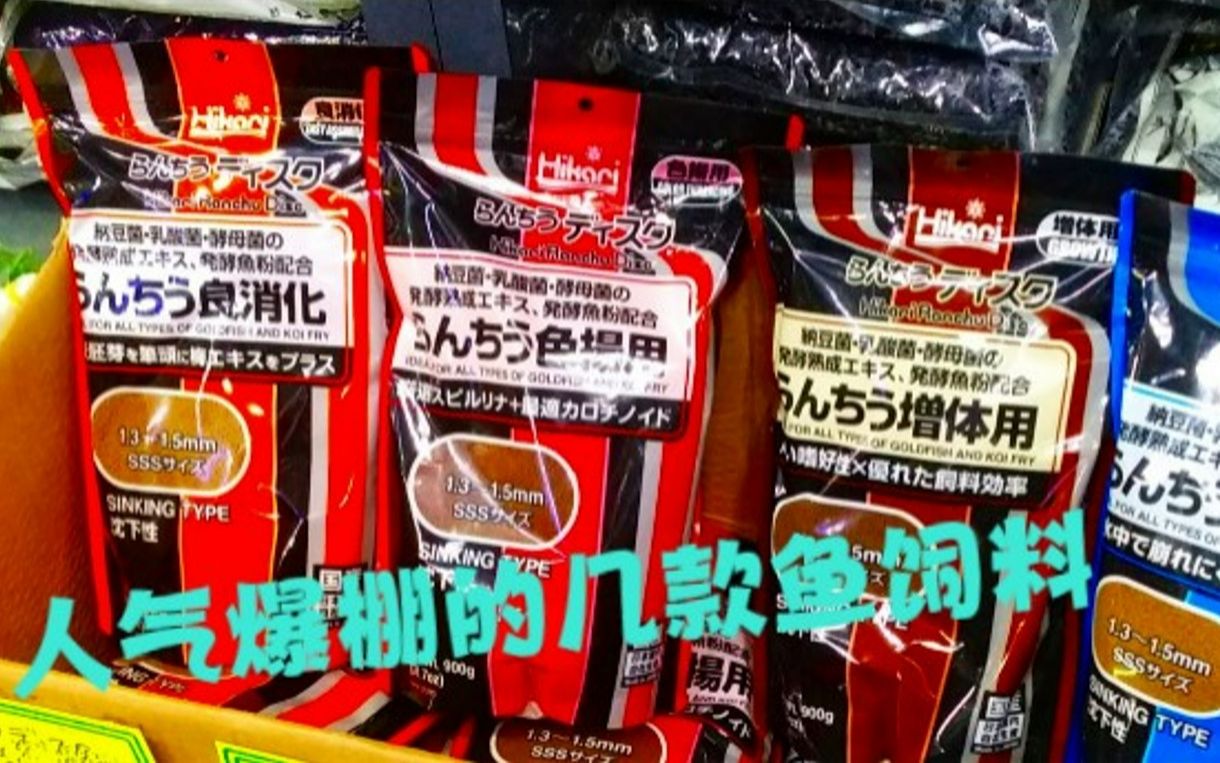 实拍日本水族店 人气爆棚的几款鱼粮 买到正品鱼饲料才是王道哔哩哔哩bilibili