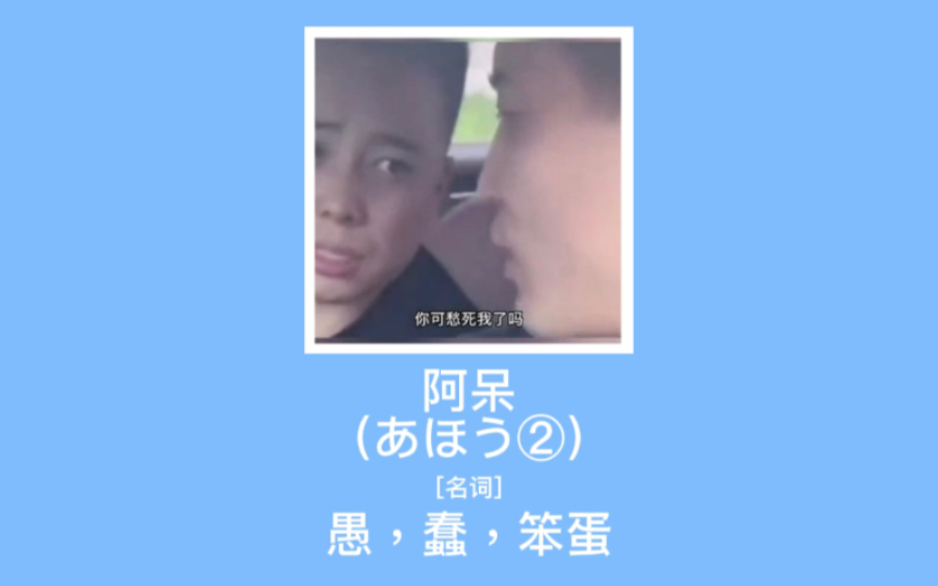 【趣味日语】阿呆(あほう②):愚,蠢,笨蛋哔哩哔哩bilibili