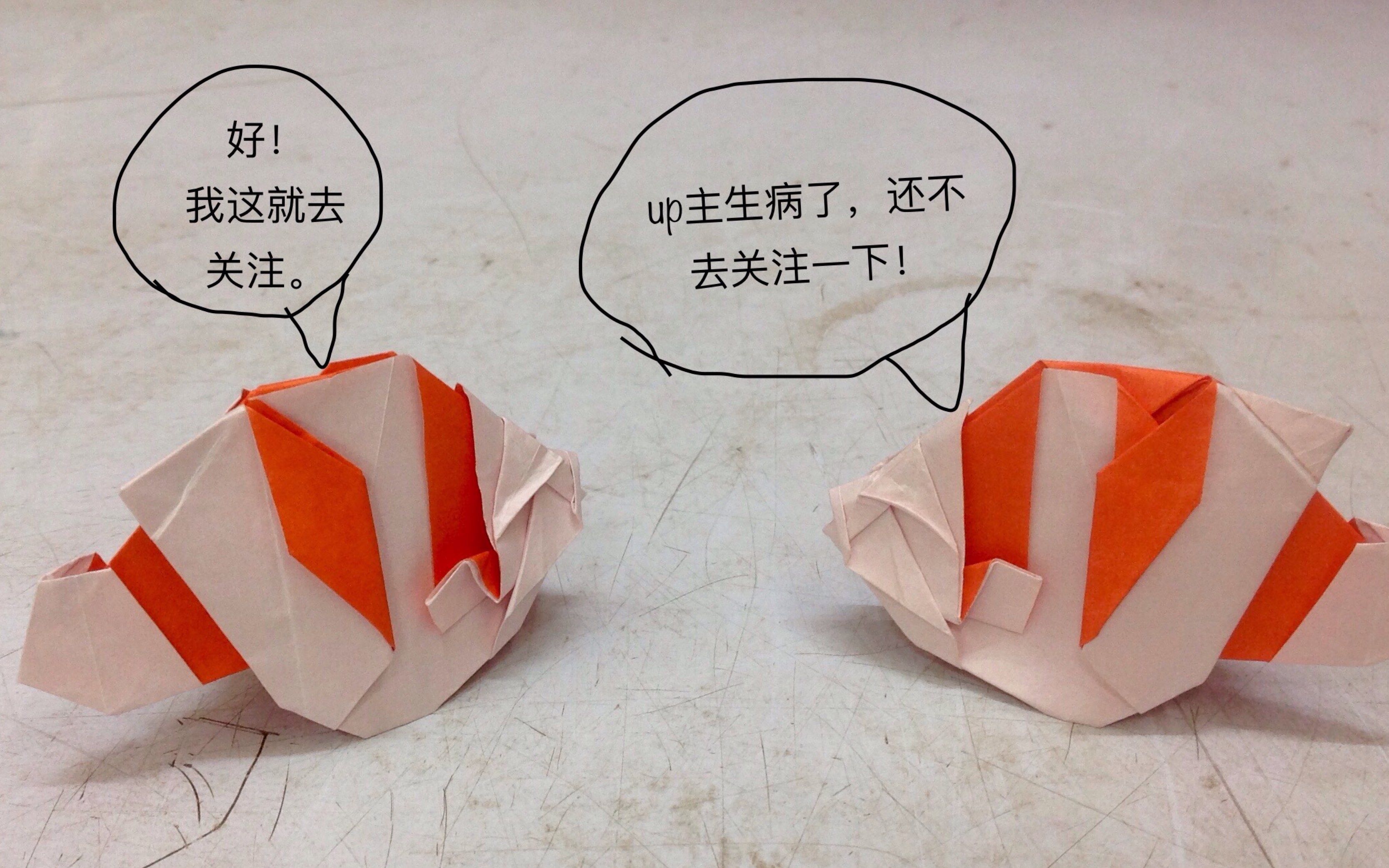 活动作品up主带病拍折纸珊瑚鱼教程