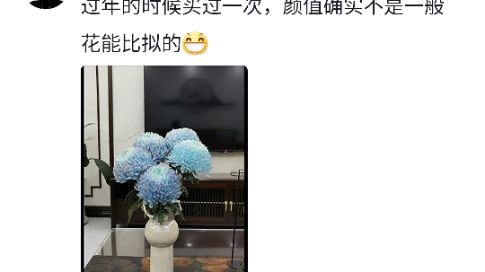 难怪古人爱菊,美成这样我都没见过哔哩哔哩bilibili