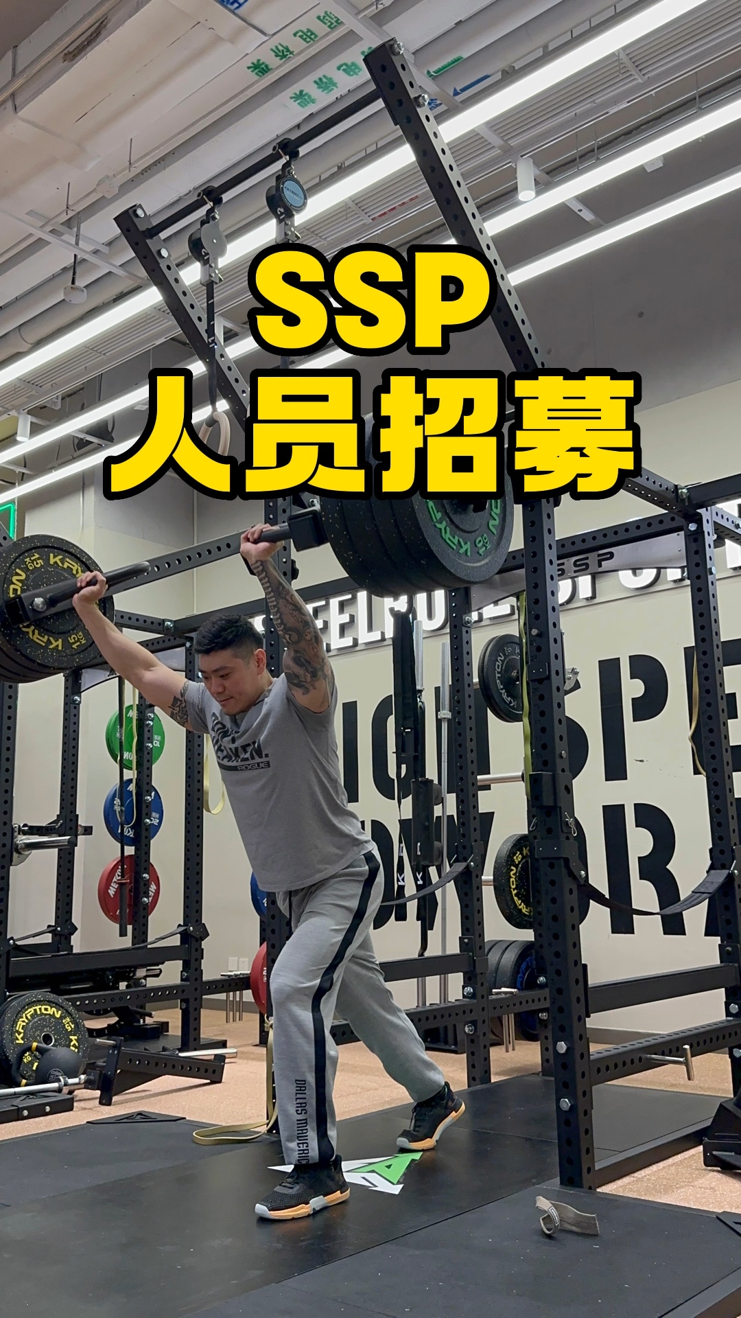 Ssp招兵买马等你来战 目前需要全职 和我一起进步学习哔哩哔哩bilibili