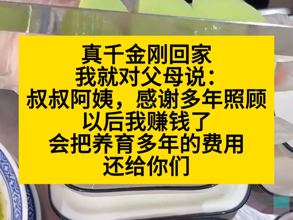 真千金刚回家,我就准备好了,将来赚钱还生活费给叔叔阿姨,小说推荐哔哩哔哩bilibili