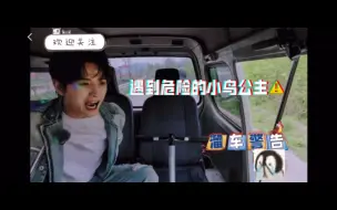 Download Video: 小鸟公主与她的勇士王子们（欸