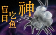 由癌细胞演化成的动物？
