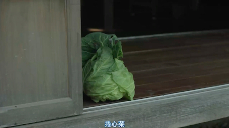 小森林｜春