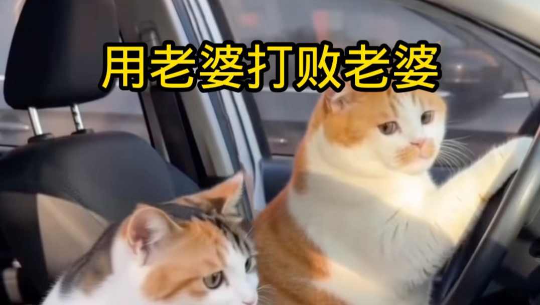 用老婆打败老婆