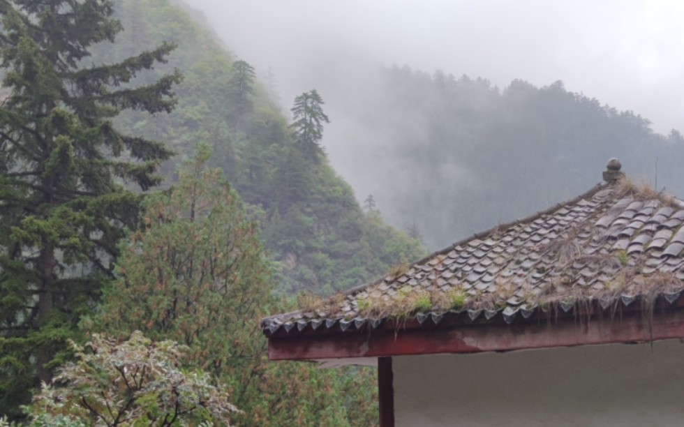 当年蒋介石来甘肃为什么行宫修在兴隆山,这里地势险要、景色迷人哔哩哔哩bilibili