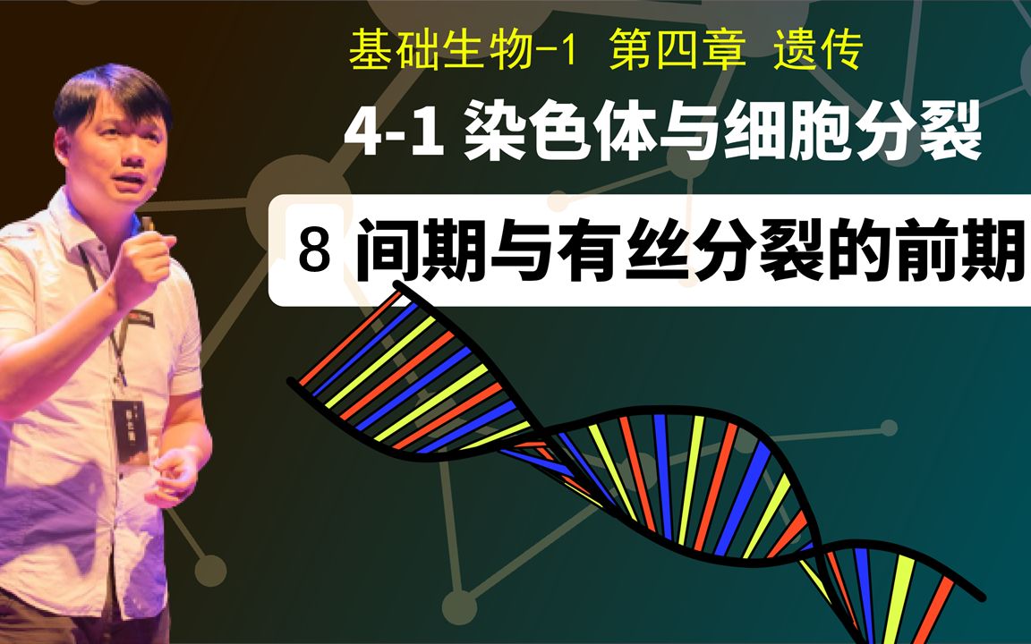 基础生物学41.8 与有丝分裂的前期哔哩哔哩bilibili