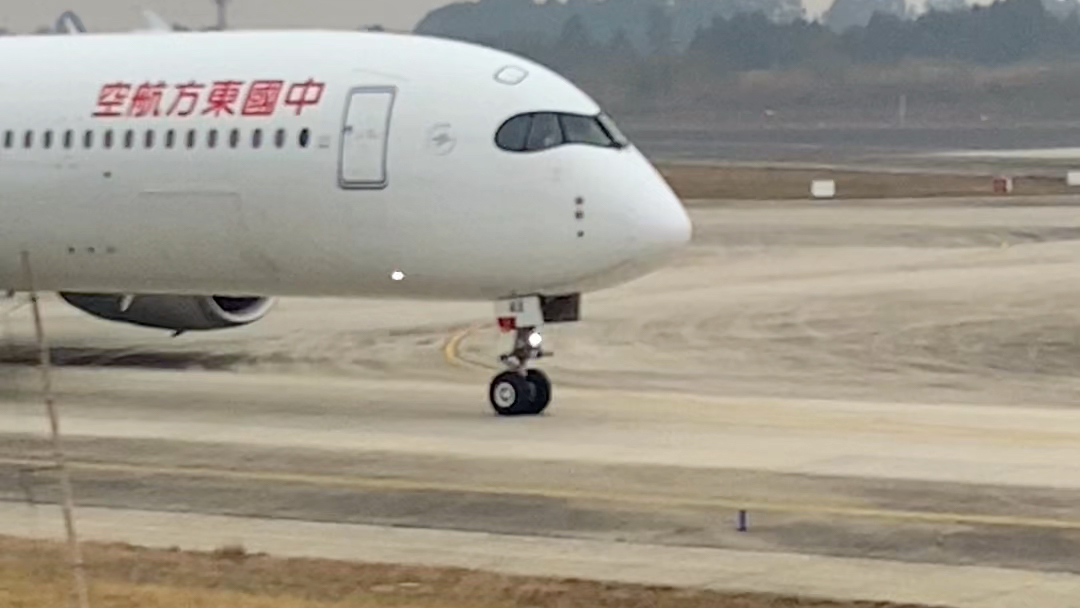东航墨镜侠a350