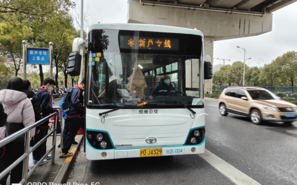 临港公交新芦专线部分区段原速原声半夜景pov1