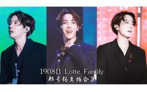 Download Video: 190811 乐天家族演唱会 郑号锡直拍合集