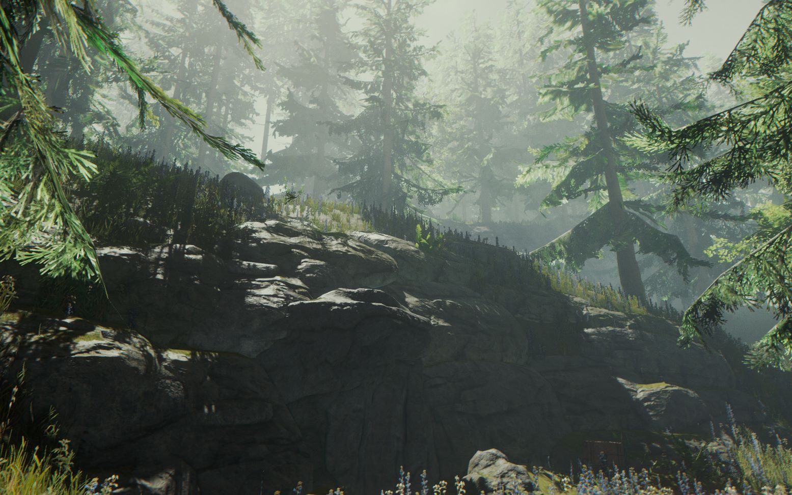 【开心果】the forest森林野外生存第一回