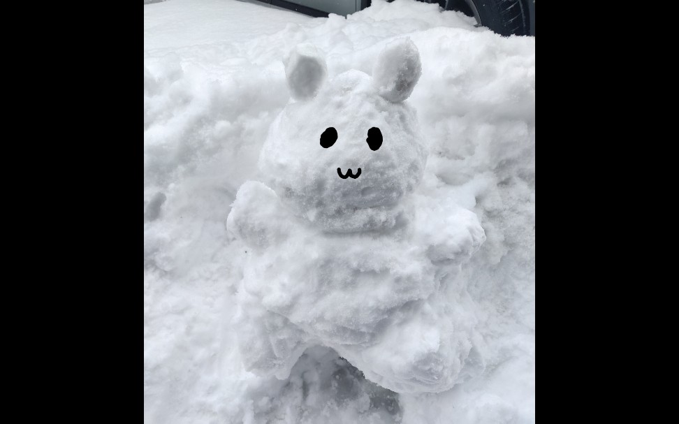 [图]东北下大雪啦