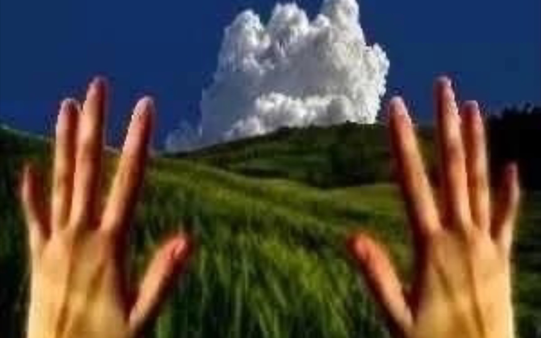 【中式怪核】“一切都在离你远去，你终将走向尽头。”