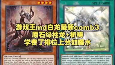 md 4月更新原石青眼白龙卡组讲解_哔哩哔哩_bilibili