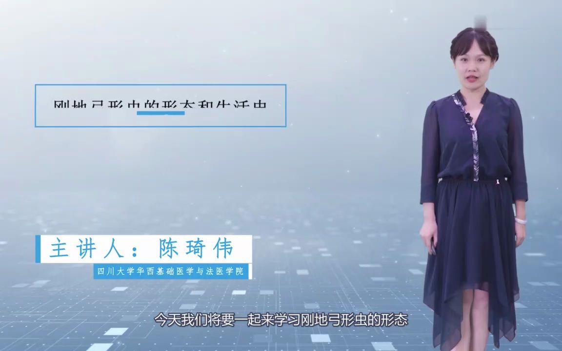 15.1 刚地弓形虫的形态和生活史哔哩哔哩bilibili