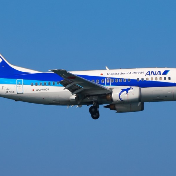 模型里的全日本空输第1集全日空之翼Boeing 737-500“超级海豚” 1/200 JC