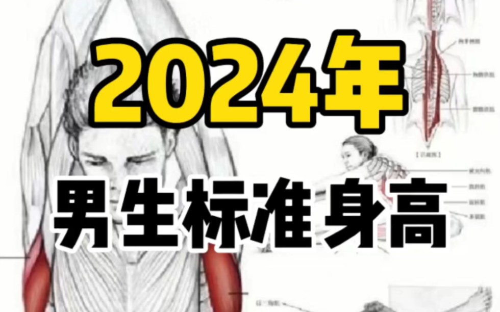 2024年男生标准身高是什么?哔哩哔哩bilibili