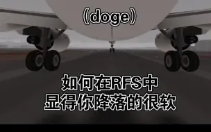 Download Video: 如何在RFS中显得你降落的很软（doge）