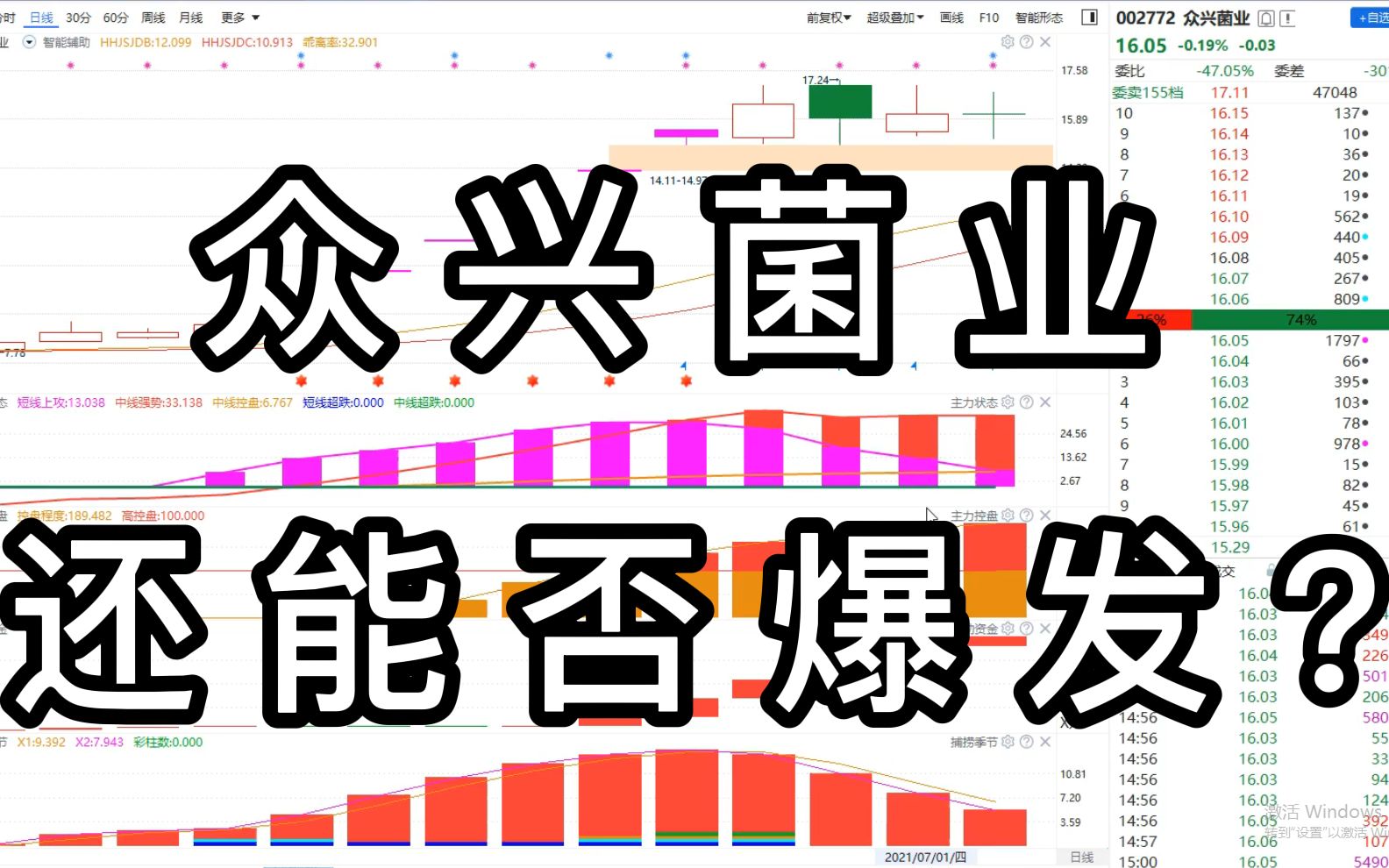 众兴菌业:风雨过后,是满地泥泞还是出现彩虹???哔哩哔哩bilibili