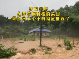 Download Video: 终于明白爸妈常说的农民是靠天吃饭的含义，一场洪水彻底毁了菜园