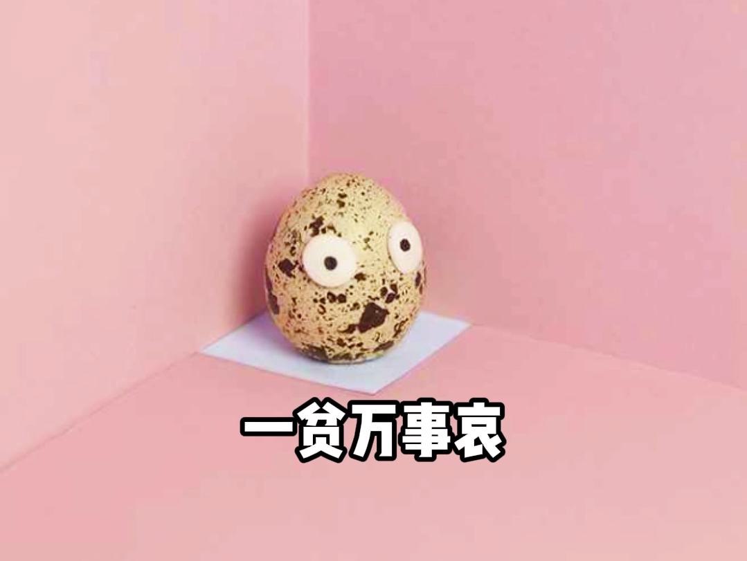 一贫万事哀,一富解千愁 #粤语 #情感 #社会百态哔哩哔哩bilibili