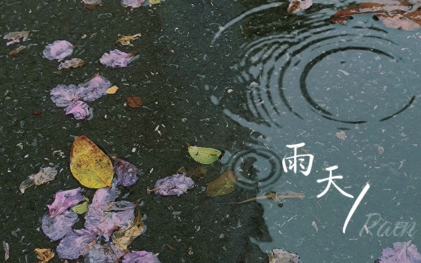 【Playlist】| ◎关于雨天的歌单 | 你能体谅我遇雨天 偶尔胆怯你都了解 | 46min哔哩哔哩bilibili