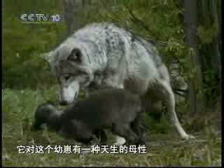 [图]《百科探秘》20071008