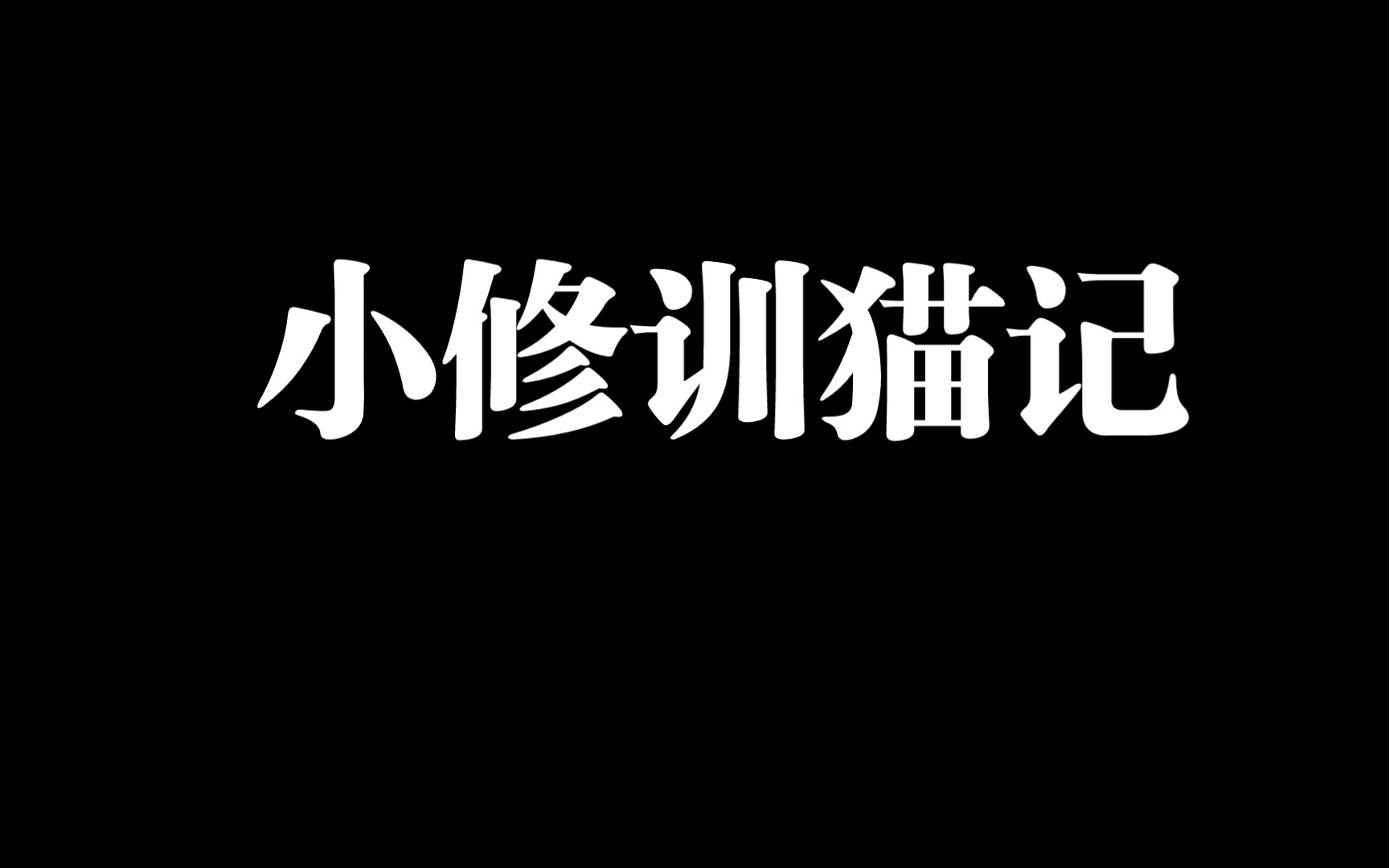 《小修训猫记》哔哩哔哩bilibili