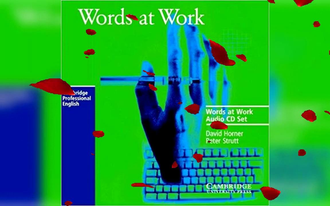 [图]Cambridge Words at Work Vocabulary Development for Business English CD