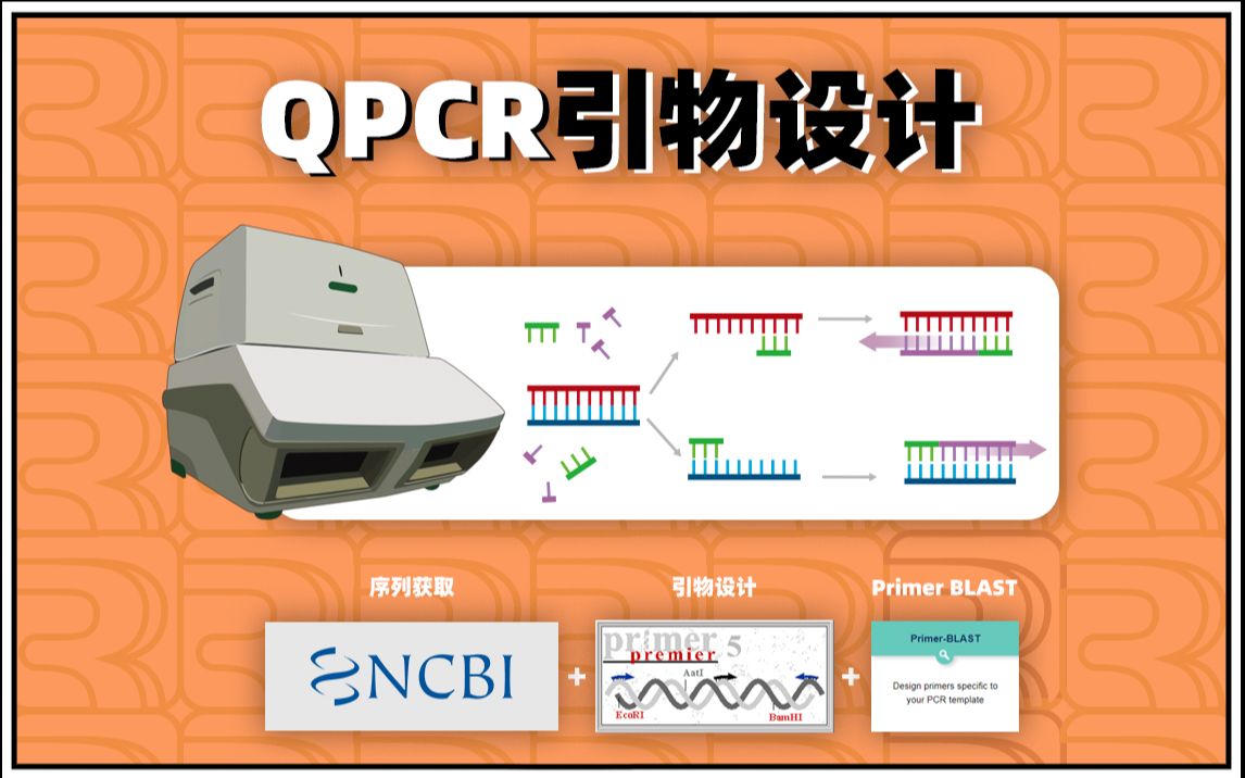 分子检测合集(3):QPCR 上篇 引物设计实操哔哩哔哩bilibili