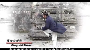 王树金传八卦掌基本功训练_哔哩哔哩_bilibili