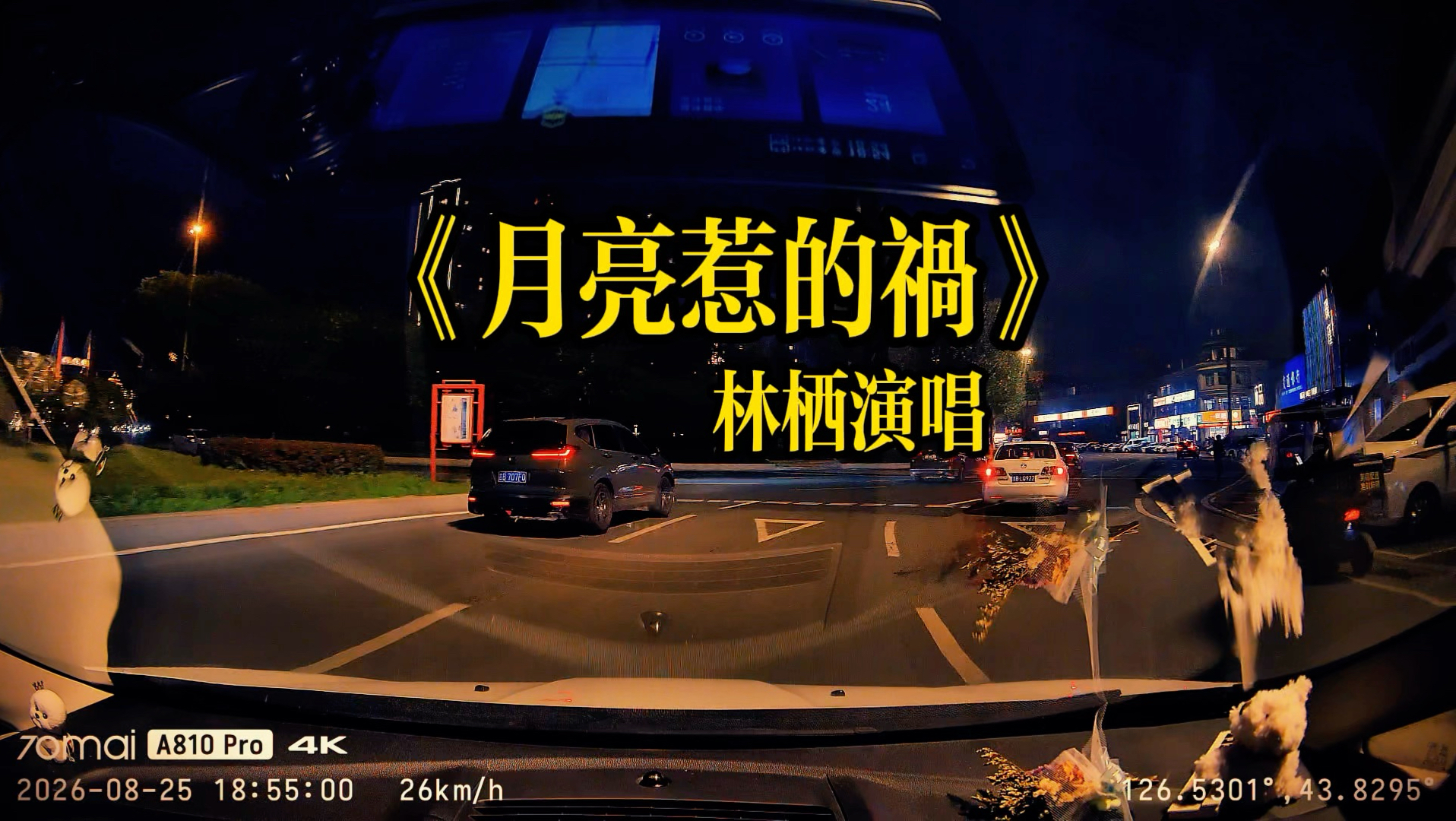 时光匆匆人事变迁，唯有老歌温柔如初，林栖的歌声里藏着多少人的青春碎片？#林栖