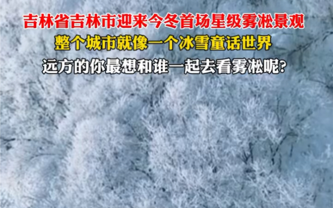 [图]#吉林省吉林市迎来今冬首场星级雾凇景观 整个城市就像一个冰雪童话世界 远方的你最想和谁一起去看雾凇呢？